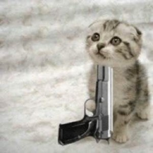 Создать мем: кот с пистолетом во рту, котик с пистолетом, котики под пистолетом