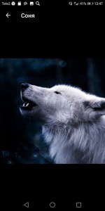 Создать мем: душа волка, white wolf, wolf