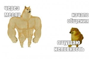 Создать мем: мускулистая собака, doge качок, дог качок