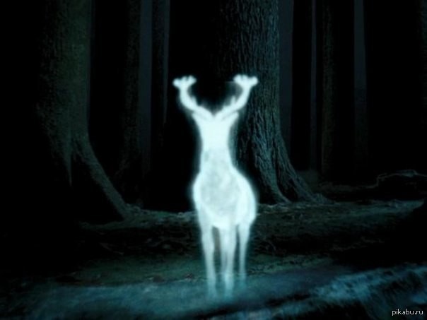 Create meme: Harry Potter , Patronus , Harry Potter Expecto patronum