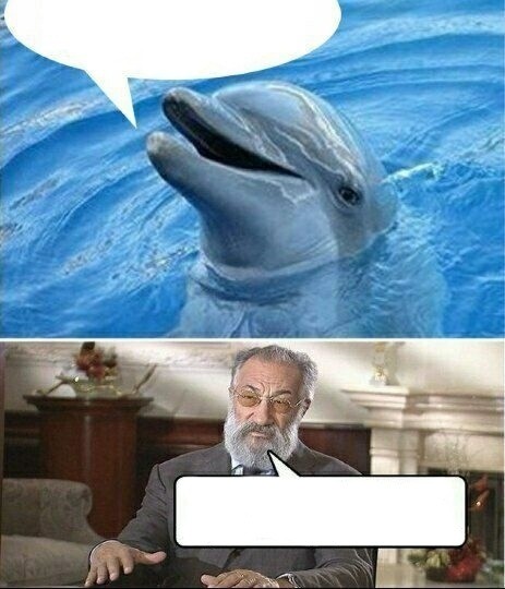 Create meme: so the dolphins once again proved, Dolphin meme, dolphins are smart