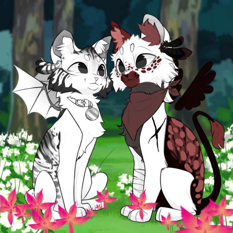Create meme: avatar a couple of cats, cats warriors clips, cats warriors sol and black stars love