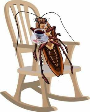 Create meme: insects , cartoon cockroach, insect