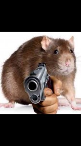 Create meme: hamster, rat animal, a rat with a gun