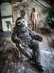 Create meme: animal sloth, people, animal costumes