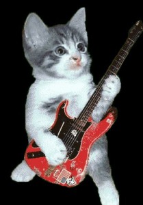 Create meme: cat, cat with guitar