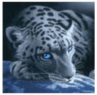 Snow Leopard PNG Images With Transparent Background | Free Download On  Lovepik
