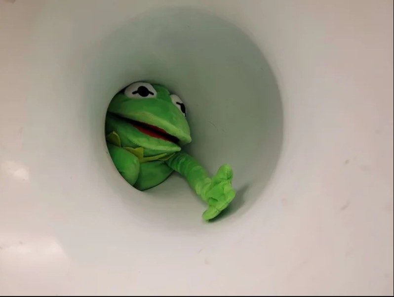 Create meme: frog , Kermit the frog, the frog is washing