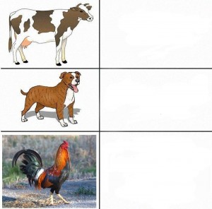 Create meme: Pets, animals cow
