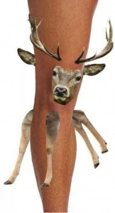 Create meme: young deer, deer head, deer