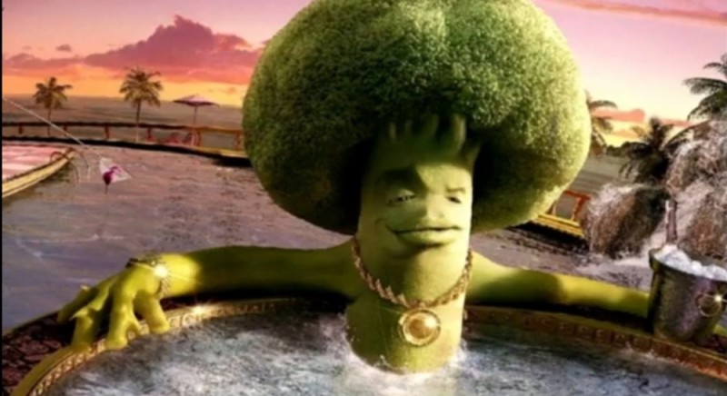 Create meme: broccoli is funny, shrek 1 , my wishes