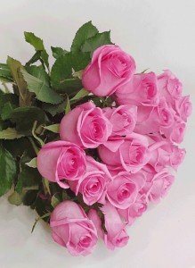 Create meme: bouquet of pink roses, bouquet of pink roses, pink roses