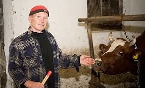 Create meme: farms in Tula region, milker in the barn picture, farm