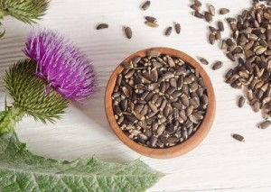 Create meme: milk Thistle for the liver, milk Thistle seeds, Silybum marianum