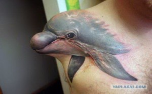 Create meme: Dolphin, Tata Dolphin, tattoo Dolphin