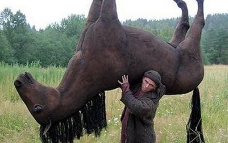 Create meme: gypsies stole a horse, I'll go out into the field with a horse, horse thief 
