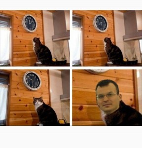 Create meme: MEM time cat clock, and watch cat meme, memes with cats