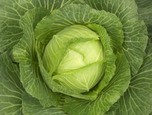 Create meme: Cabbage