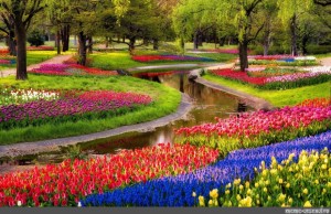 Create meme: keukenhof netherlands, flower park, keukenhof park