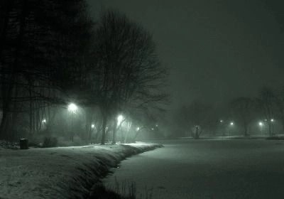 Создать мем: ночь зима, ночной парк туман, зимняя ночь