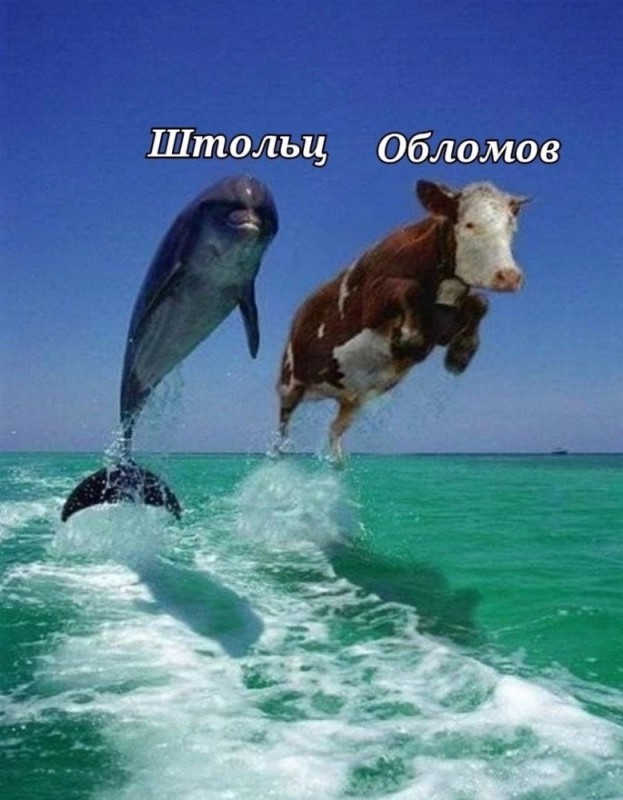 Create meme: Dolphin and cow, cow in the sea meme, a Dolphin and a cow jumping out of the water