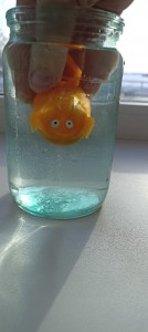 Create meme: aquarium, fish, glass jar