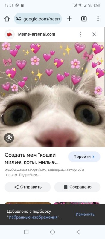 Создать мем: кот с сердечками, котики, милый котик с сердечками