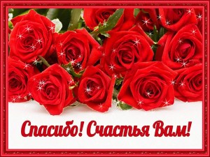Create meme: red roses, thank you for the congratulations, friends thank you