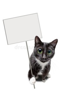 Создать мем: кот держит табличку, черно белая кошка, кошка