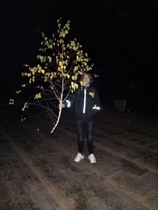 Создать мем: дерево, ночь улица фонарь, парень