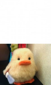 Create meme: duck with a knife, duck with knife toy, soft toy