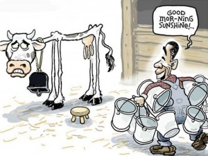 Create meme: funny cow, the caricature of Russia, funny caricatures