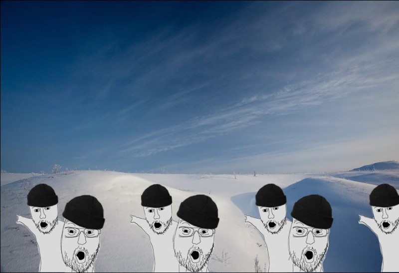 Создать мем: мемы, снежное поле, снежная