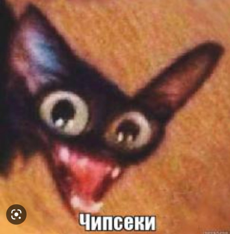 Create meme: meme Capsici cat, chipset meme, black cat meme chipsets