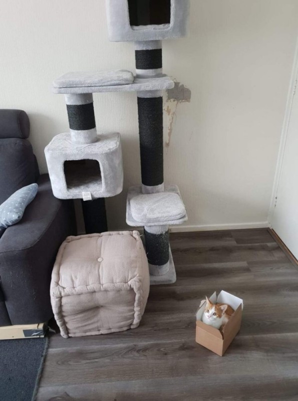 Create meme: scratching post complex for cats, house cat scratching post, cat house with a scratching post