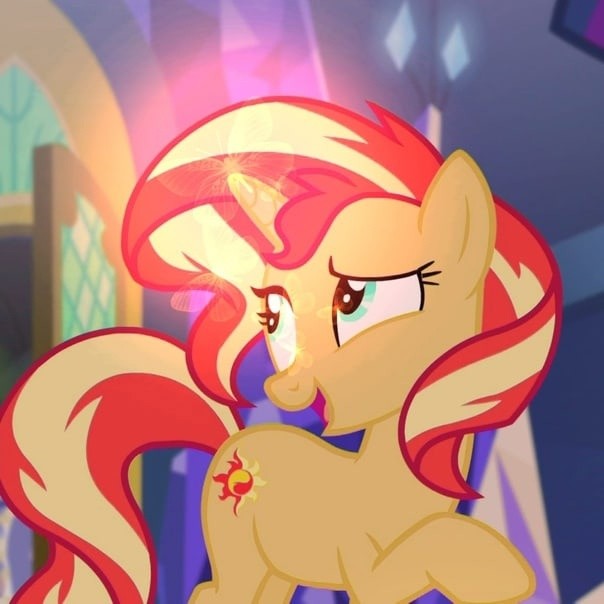 Create meme: sunset shimmer, sunset shimmer , pony 