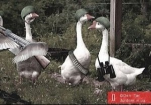 Create meme: goose, duck goose, cool goose