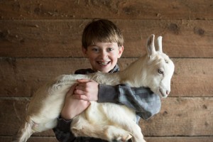 Создать мем: городская ферма на вднх животные, goat костя козлов, козленок