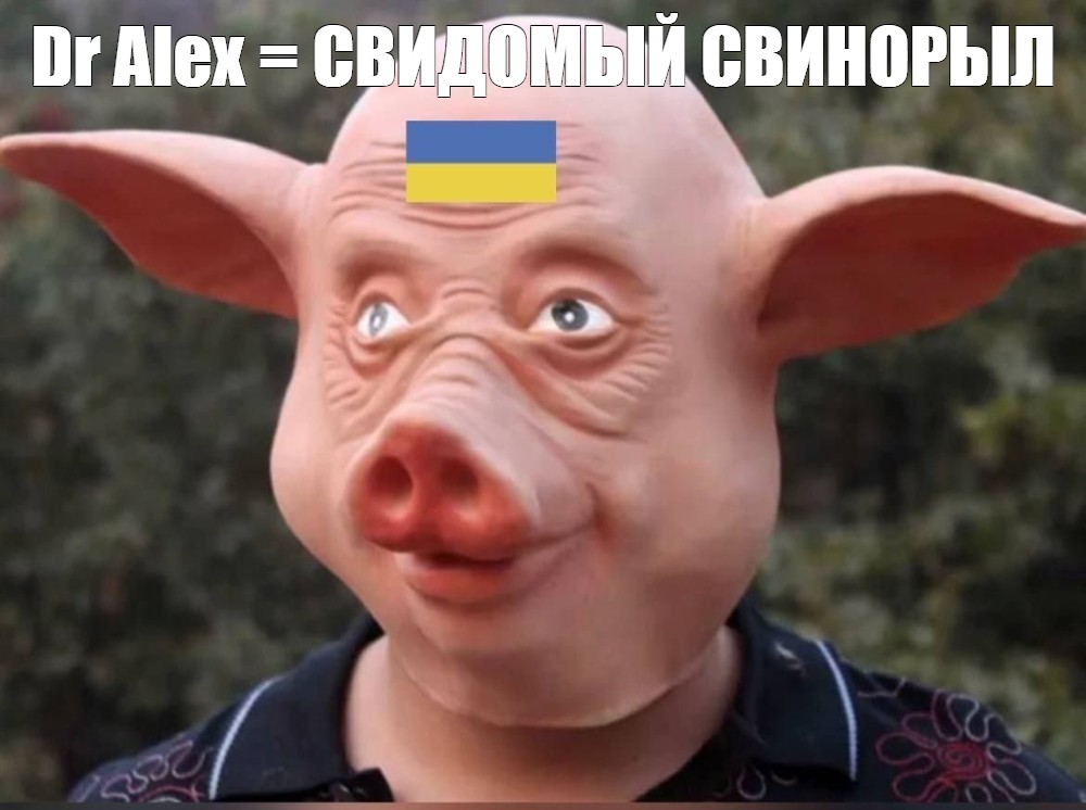 Глупые свиньи