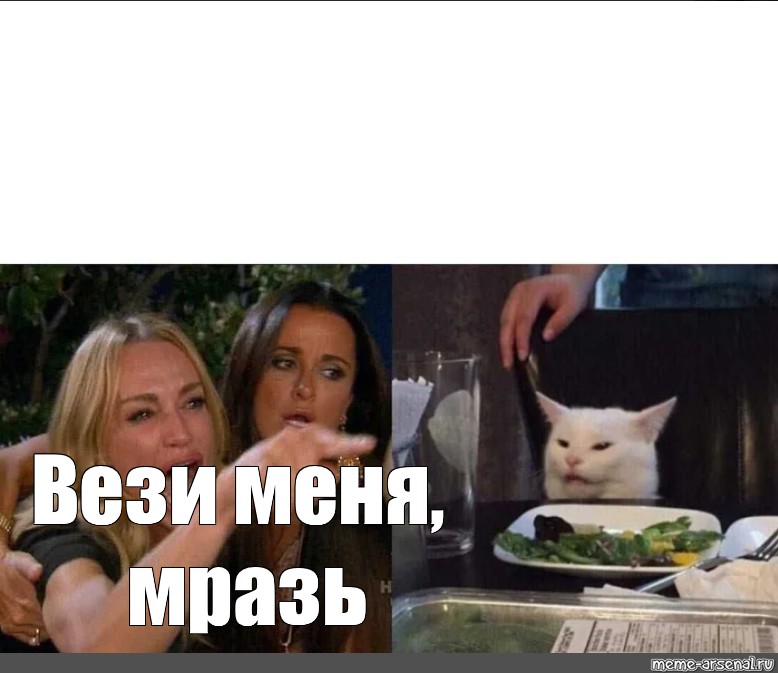 Мем с котом и женщиной. Кот из мемов за столом. Популярный Мем с котом за столом. Мемы с котом и девушками. Мемы с котом за столом и девушками.