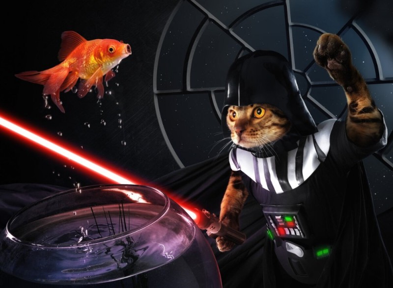 Создать мем: кошка дарт вейдер, ситхи коты звёздные войны, герои звездных войн