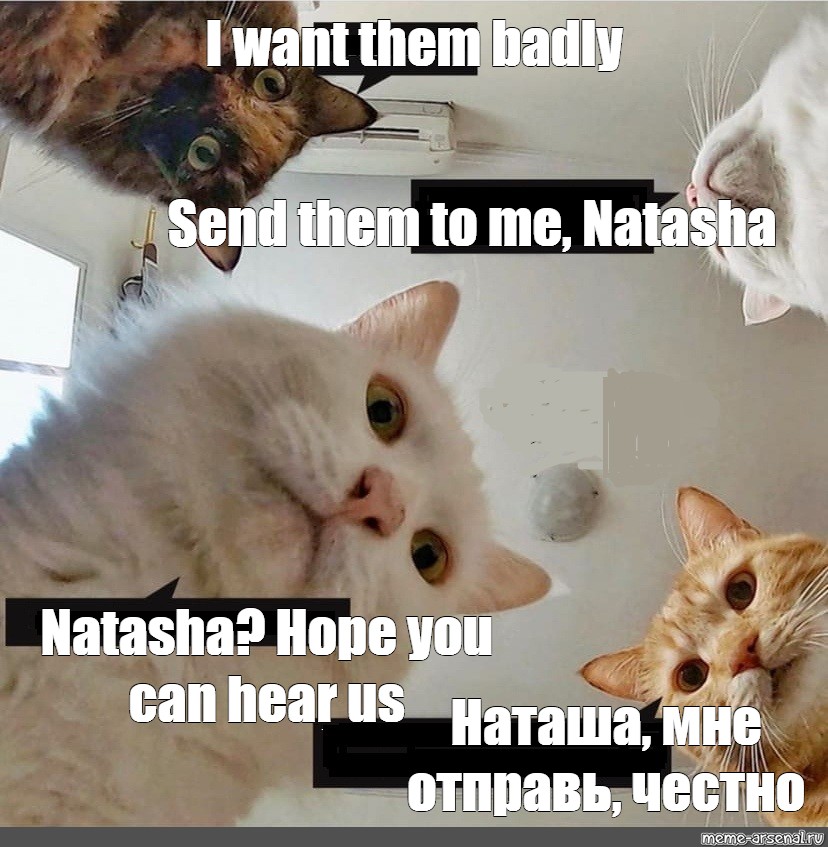 Hope you can hear us Наташа, мне отправь, честно"... 