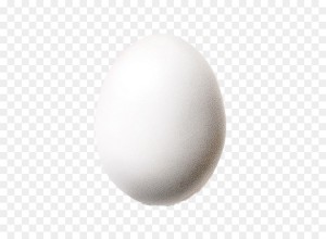 Create meme: egg on a transparent background, egg vector, egg white PNG