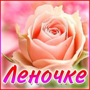 Create meme: flowers, flowers roses, Flowers