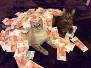 Create meme: cat with money meme, cash cat, cat with money