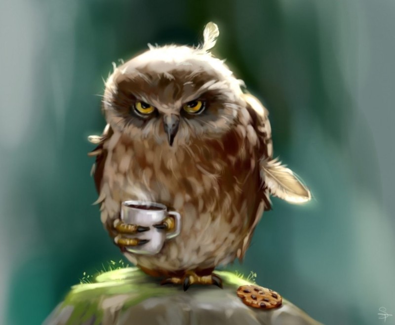 Create meme: sleepy owl, owl in the morning, owl 