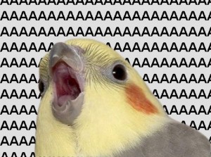 Создать мем: кричащий попугай, попугай кричит мем, животное
