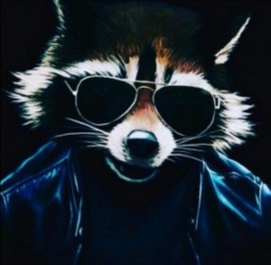 Create meme: arts cool, cool raccoon, raccoon art