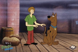 Create meme: Scooby Doo show