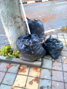Create meme: citywide subbotnik, rubbish removal, garbage